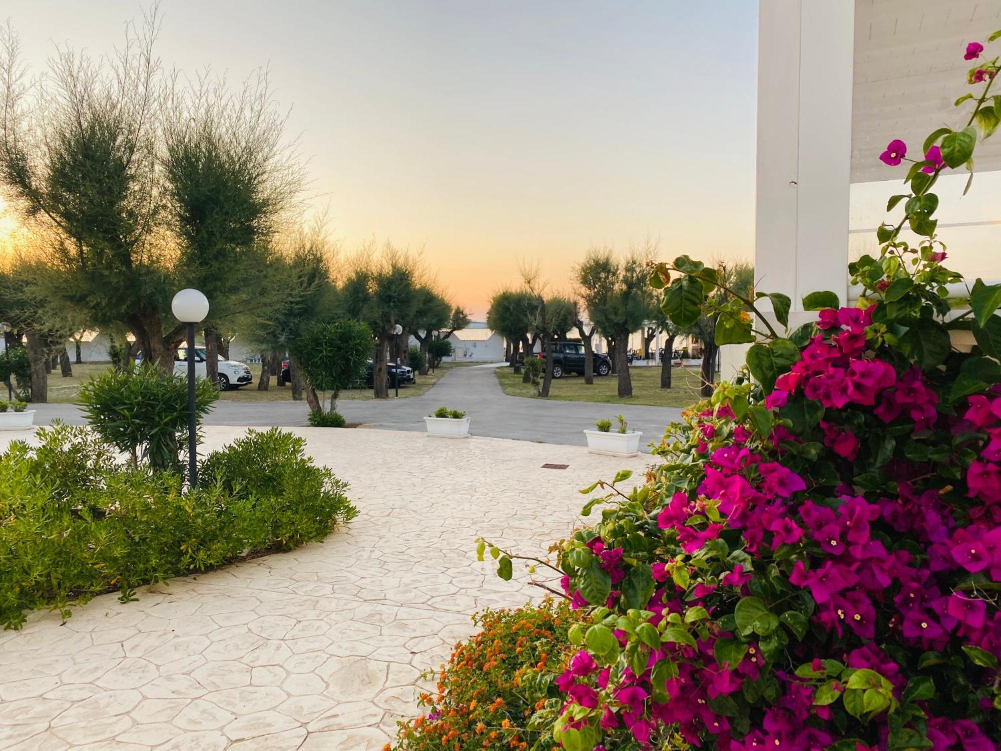Hotel Corona Beach Peschici Exteriör bild